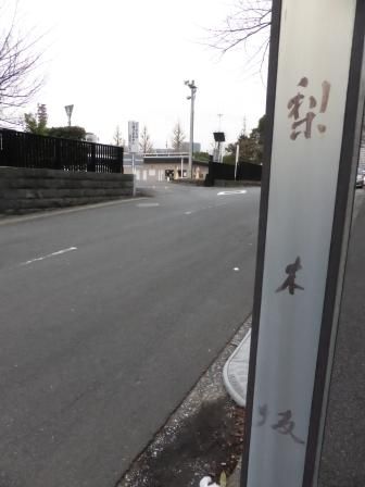 イメージ 13