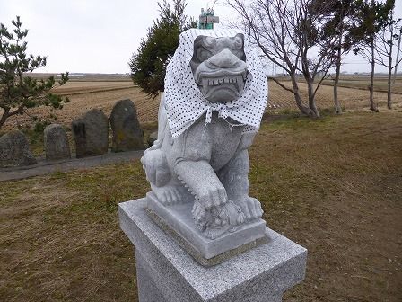 イメージ 14