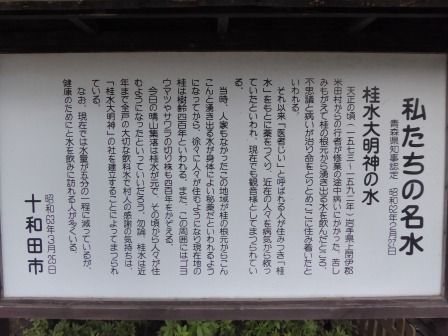 イメージ 14