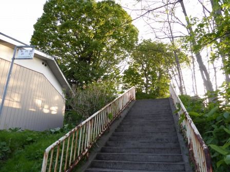 イメージ 13
