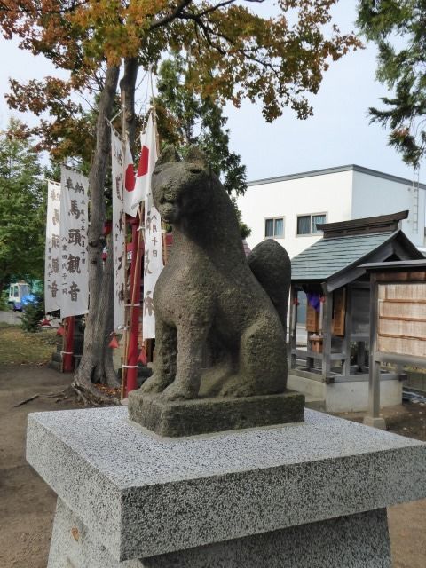 イメージ 8