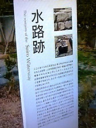 イメージ 17