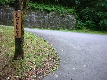 イメージ 31