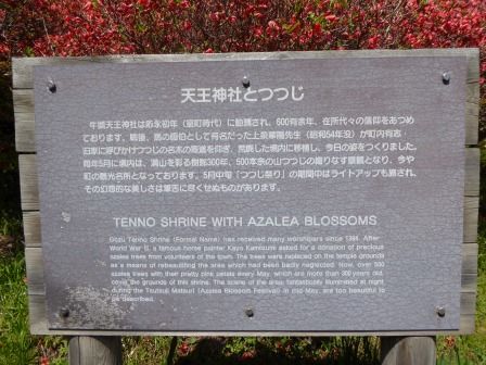 イメージ 19