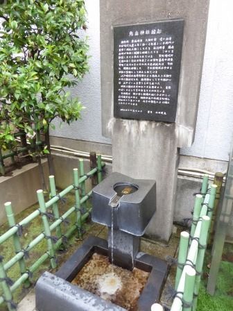 イメージ 5