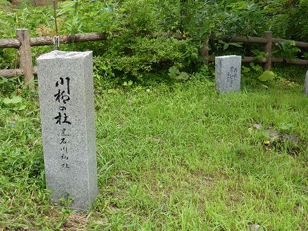 イメージ 18