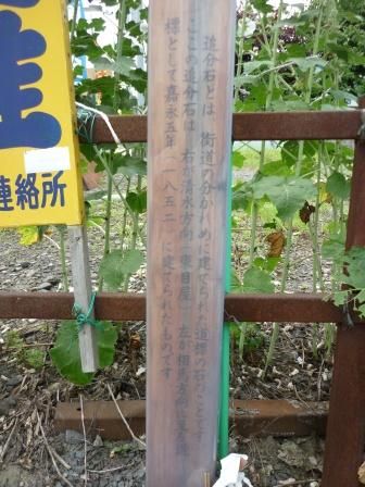 イメージ 7
