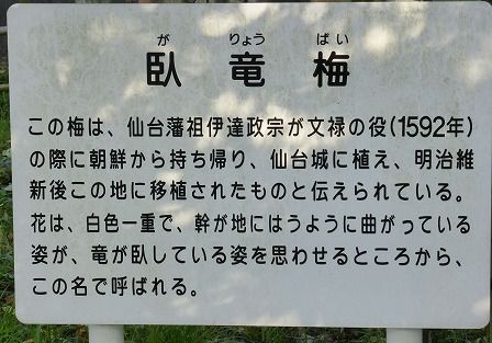イメージ 36