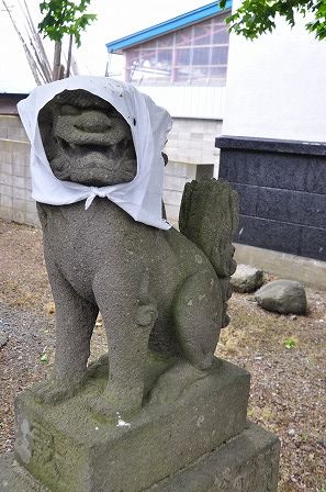 イメージ 14
