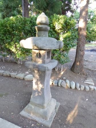 イメージ 11