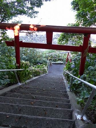 イメージ 20