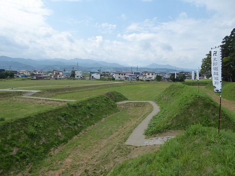26