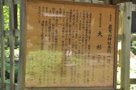 イメージ 8