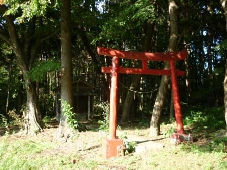 イメージ 16