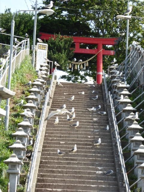 イメージ 17