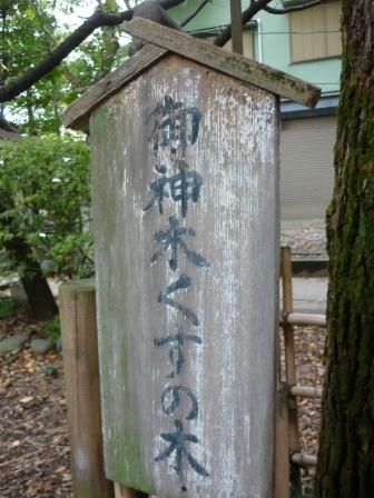 イメージ 39