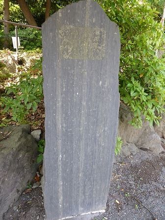 イメージ 33