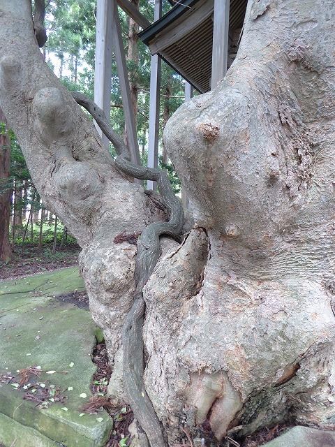 イメージ 9