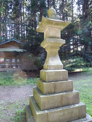 33