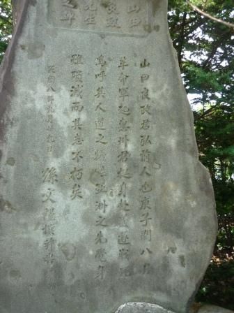 イメージ 15