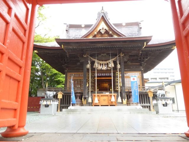 イメージ 10