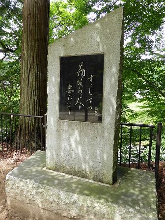 イメージ 108