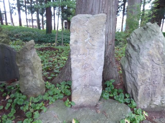 イメージ 56