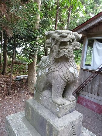 イメージ 9