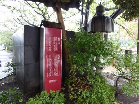 イメージ 19