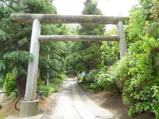 長者山新羅神社 (八戸市) : くぐる鳥居は鬼ばかり 長者山新羅神社 (八戸市) : くぐる鳥居は鬼ばかり