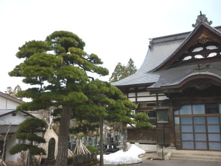 イメージ 5