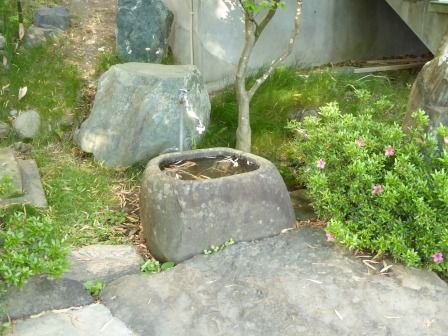 イメージ 14