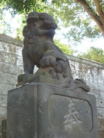 イメージ 13