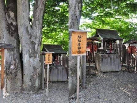 イメージ 56