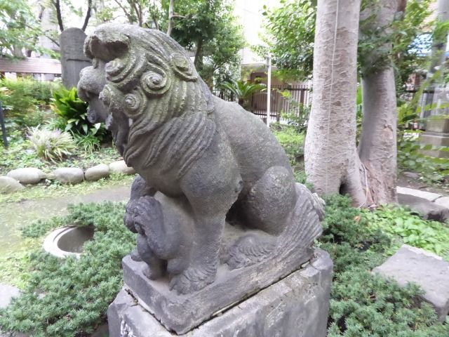 イメージ 5