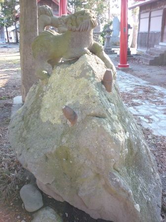 イメージ 12