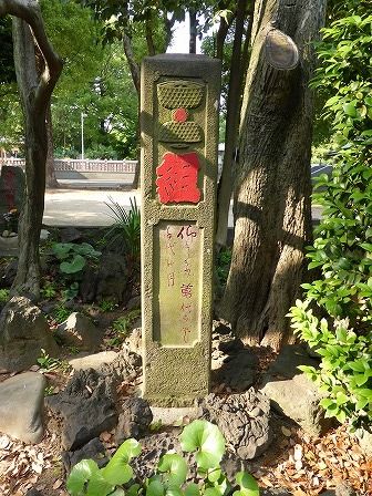 イメージ 42