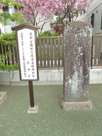 イメージ 35