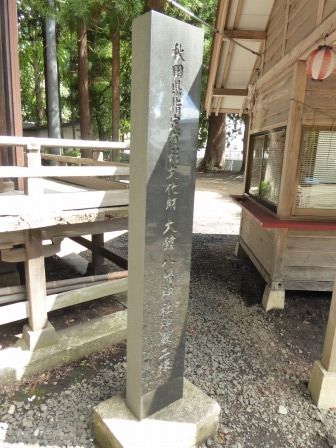イメージ 19