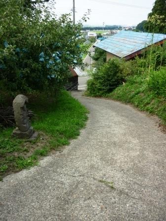 イメージ 11