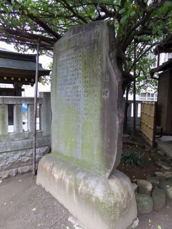 イメージ 7