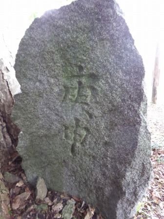 イメージ 16