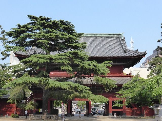 イメージ 9