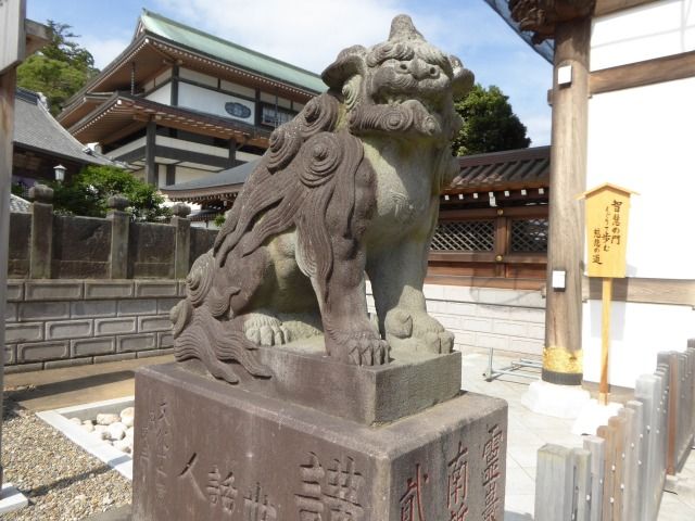 イメージ 4