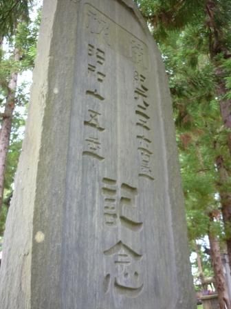 イメージ 8