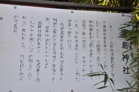 イメージ 17