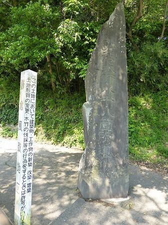 イメージ 34