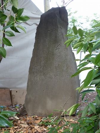 イメージ 66