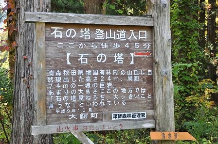イメージ 8