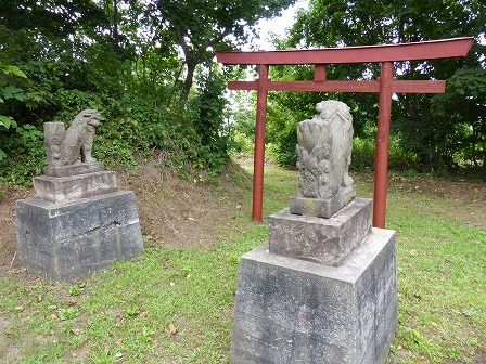 イメージ 5